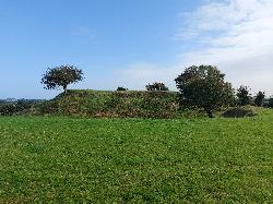 Lismahon Rath and Motte